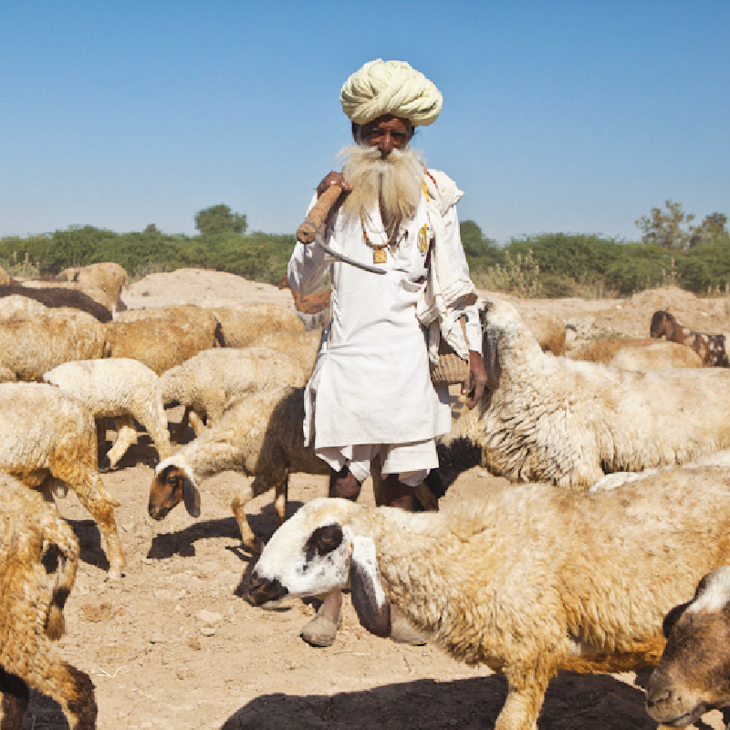 Photo by Ishan Khosla on Flickr