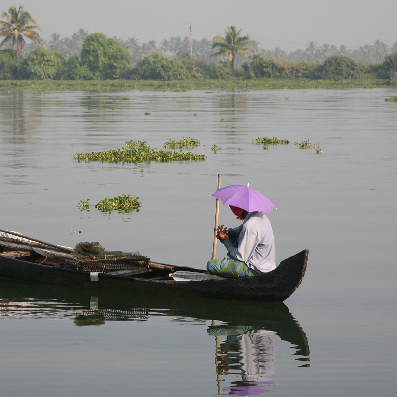Photo by Hans A. Rosbach on Wikimedia Commons