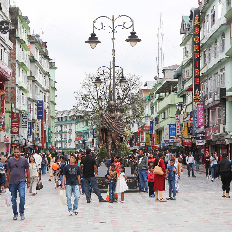 Photo by Bernard Gagnon on Wikimedia Commons