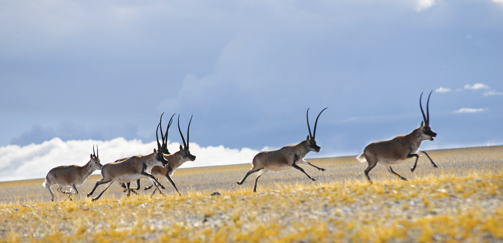 Photo by Runnybabbit on flickr